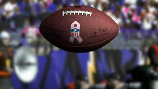 Illustration for article titled Madden NFL 11 Breast Cancer Awareness